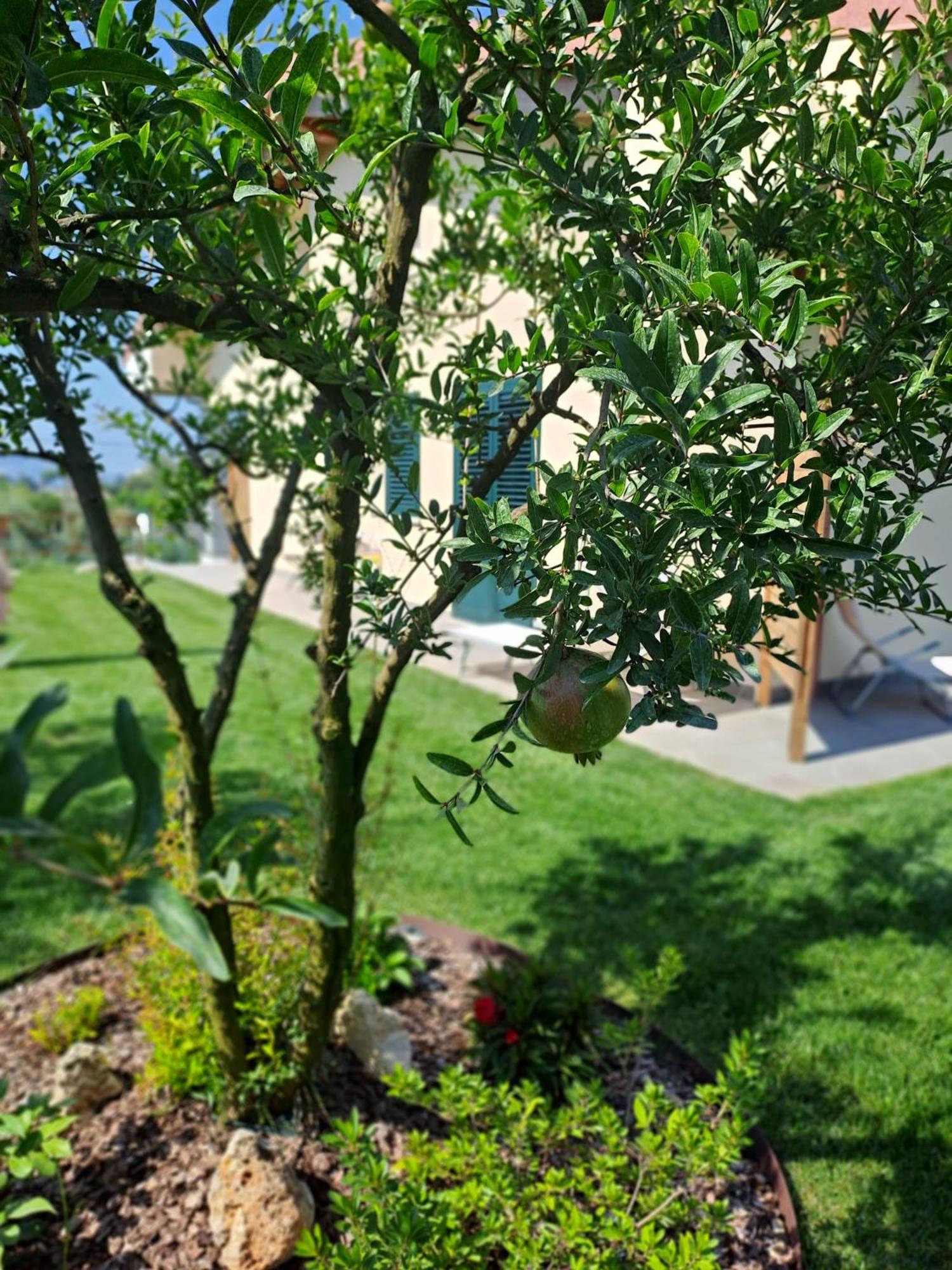 La Campagna Di Peppe E Tullia Bed & Breakfast Formia Ngoại thất bức ảnh